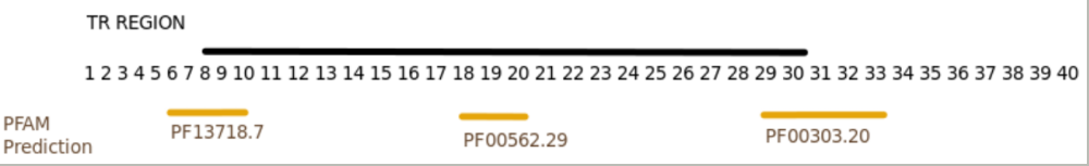 _images/functional.png